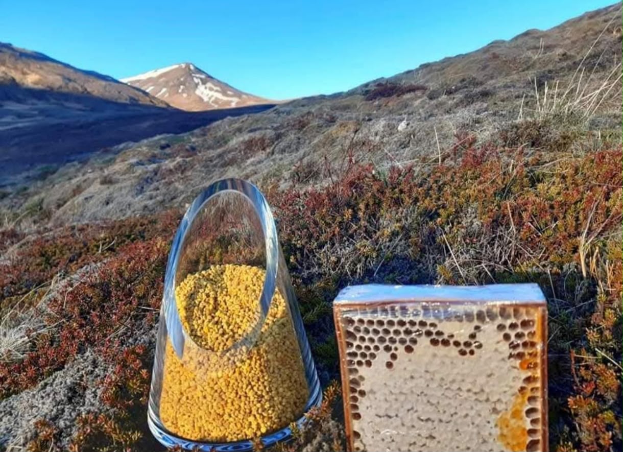 Bee pollen and honeycomb in the mountains